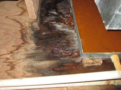 About water damage cleanup - ceiling water damage repair experts in Los Angeles